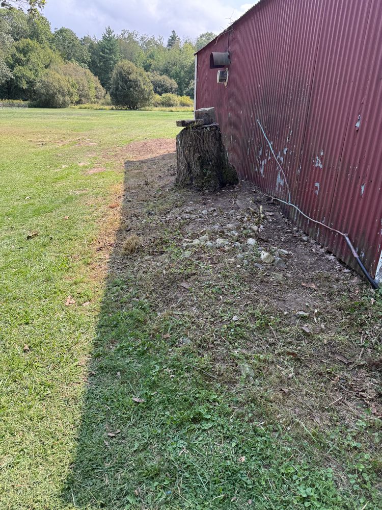 All Photos for Lucas Property Maintenance LLC in New Bedford, MA