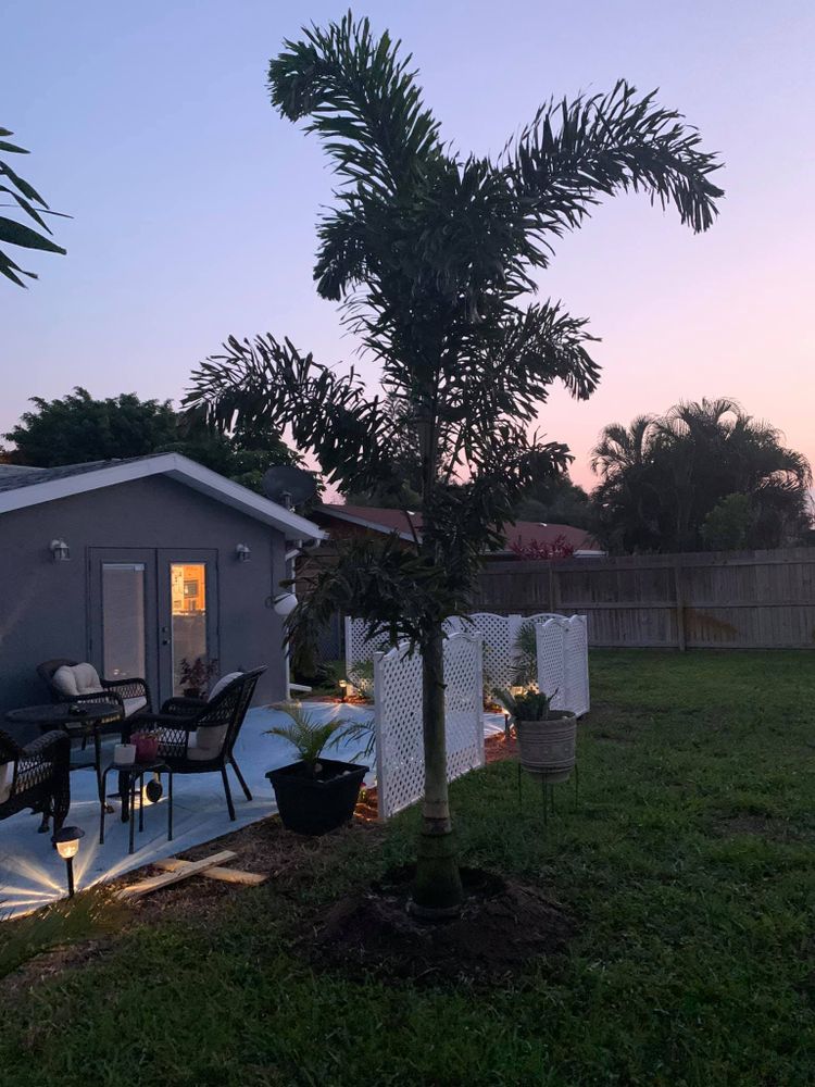 Landscaping for Plant World LLC in Cape Coral, FL