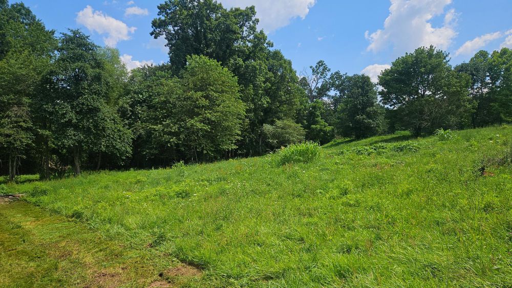 All Photos for B&B Land Management in Jamestown, TN