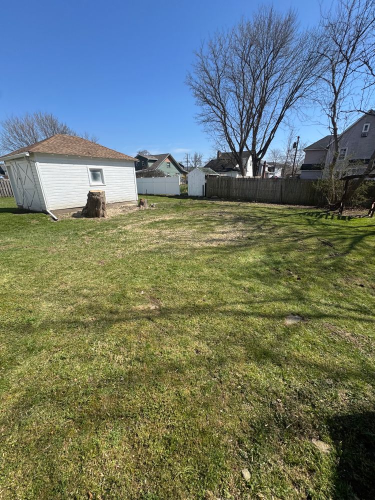 Tree Removal for Licensed to Cut Tree Service in Athens, PA