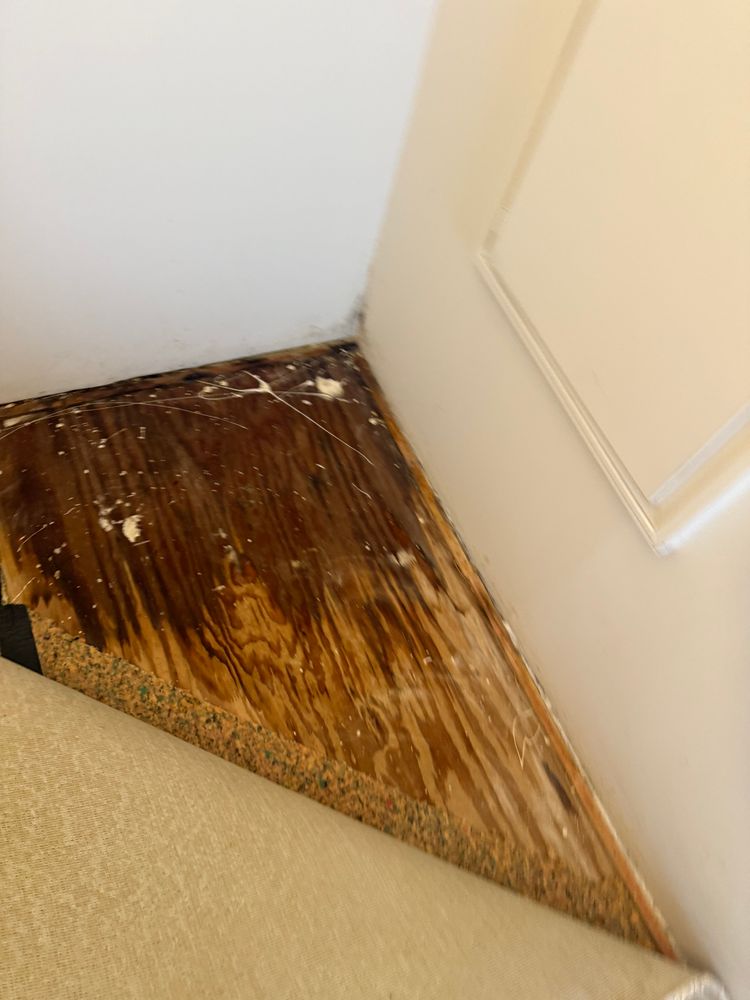 All Photos for Titan Remediation Industries in West Palm Beach, FL