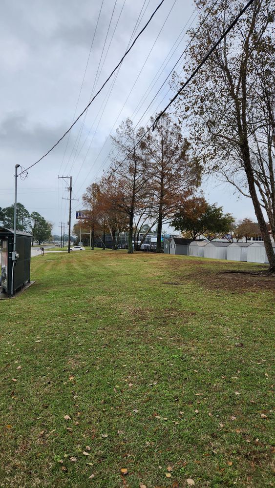 Tree Removal for Ken's Elite Cutters LLC  in Breaux Bridge, LA