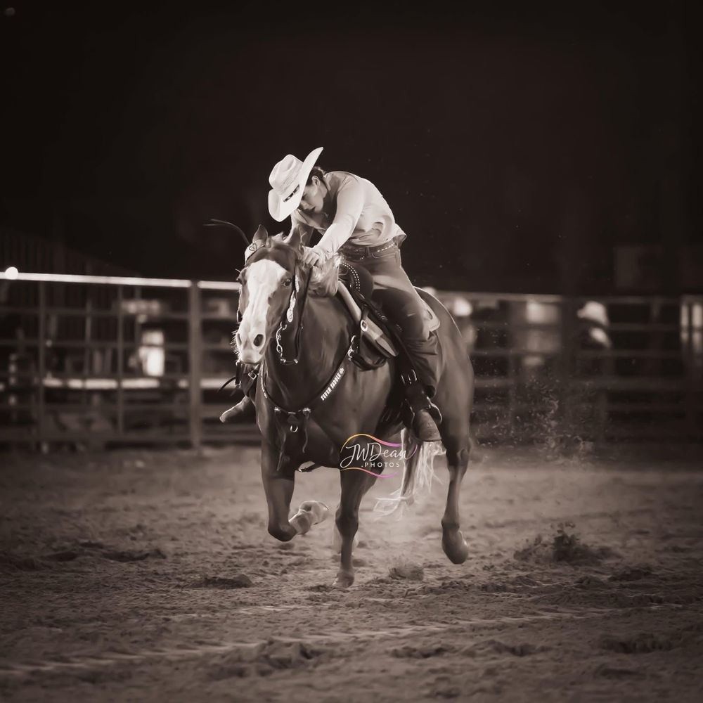 All Photos for Florida Native Equestrian Development in Central Florida, FL