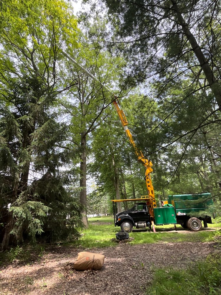 All Photos for Down To Earth Tree Service, LLC in Olmsted Falls, OH