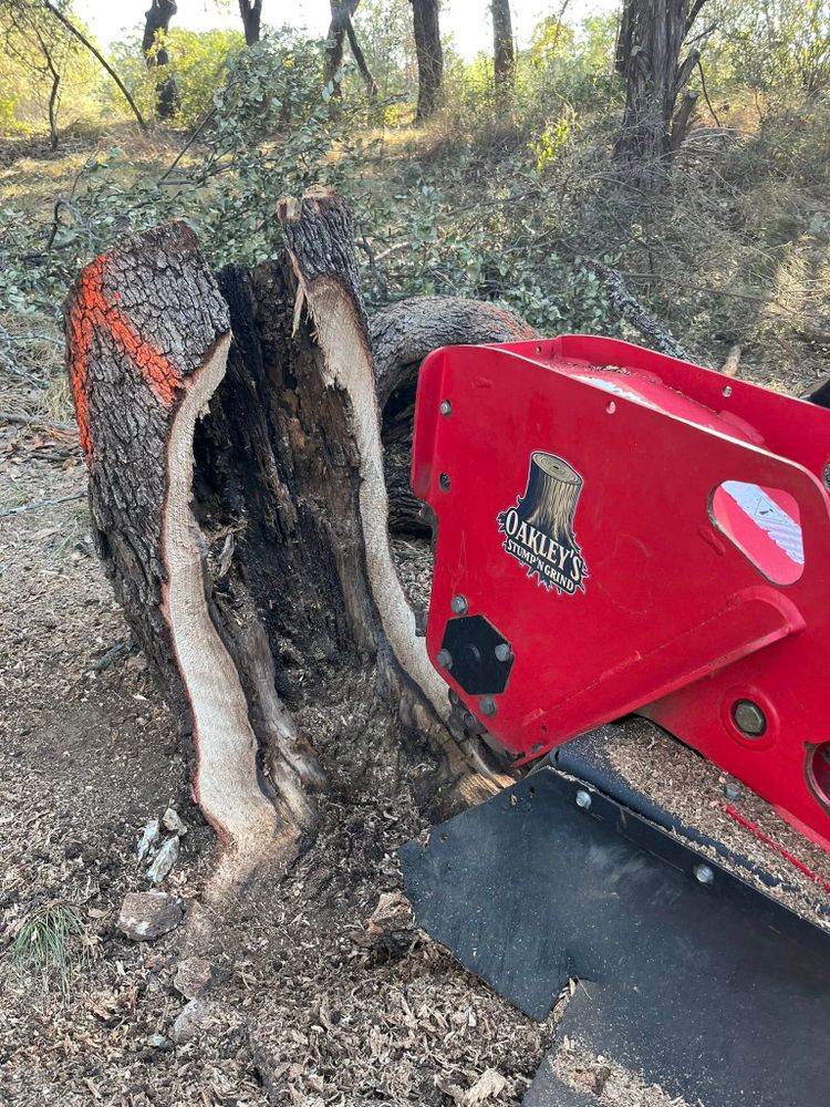 Our Emergency Services offer rapid response to safely handle downed or hazardous trees, minimizing damage to your property and ensuring peace of mind during unexpected events. Available 24/many for urgent situations. for Oakley’s Stump ‘N Grind in Leander, TX