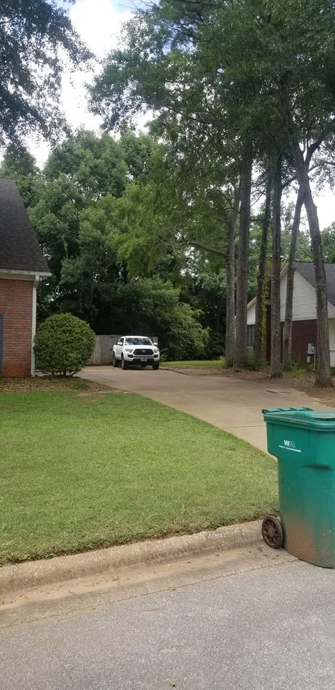Tree Removal for DNA Tree Service in Birmingham, AL