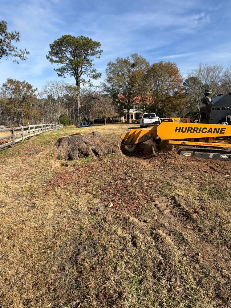 All Photos for Dozier Stump Grinding in Augusta, GA