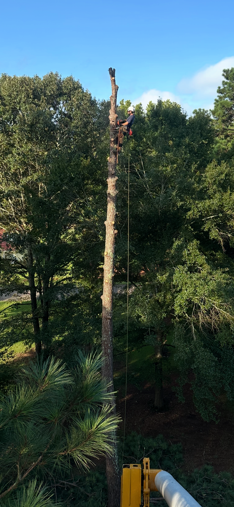 All Photos for ArborMax in Thomaston, GA