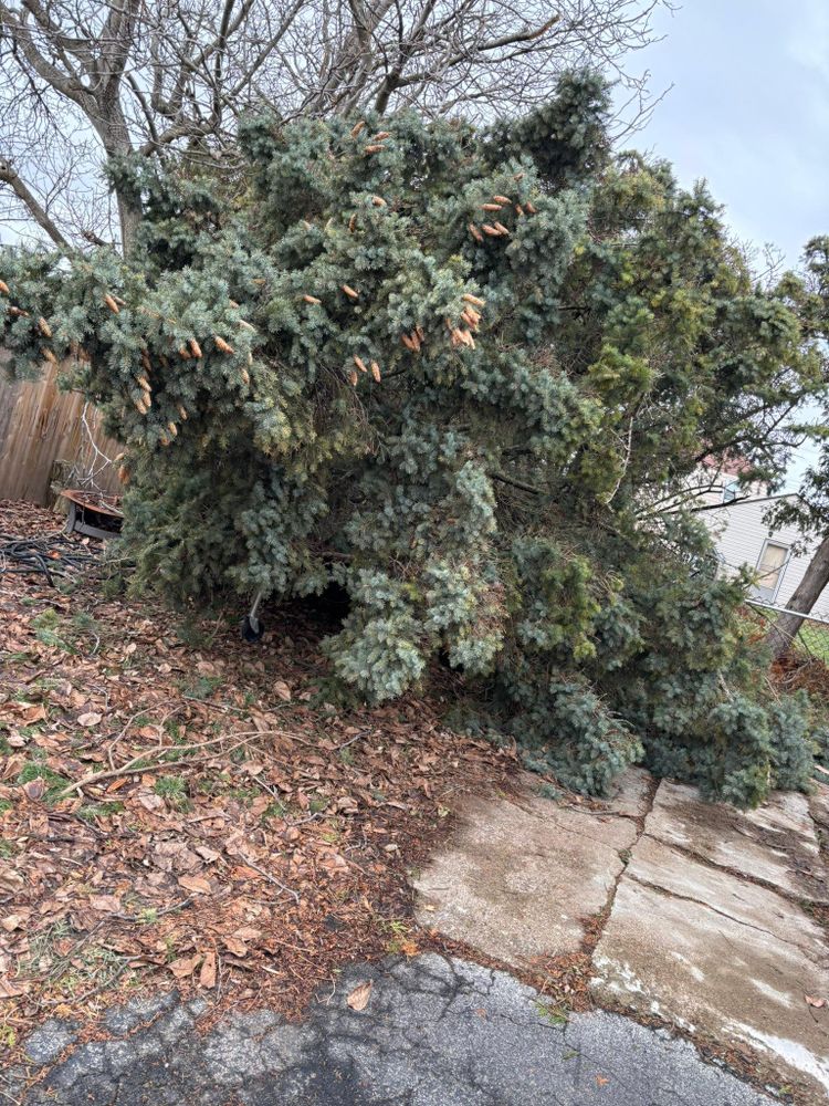 All Photos for Hauser's Complete Care INC in Lancaster, NY