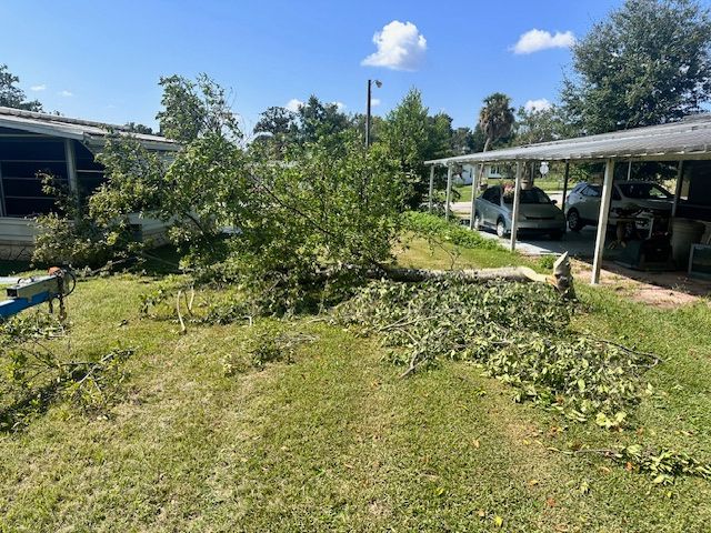 Our Shrub Trimming service enhances the aesthetic appeal of your landscaping by shaping and pruning shrubs to promote healthy growth, maintain a neat appearance, and improve overall curb appeal. for Tree Amigos Tree Service in Ocala, Fl