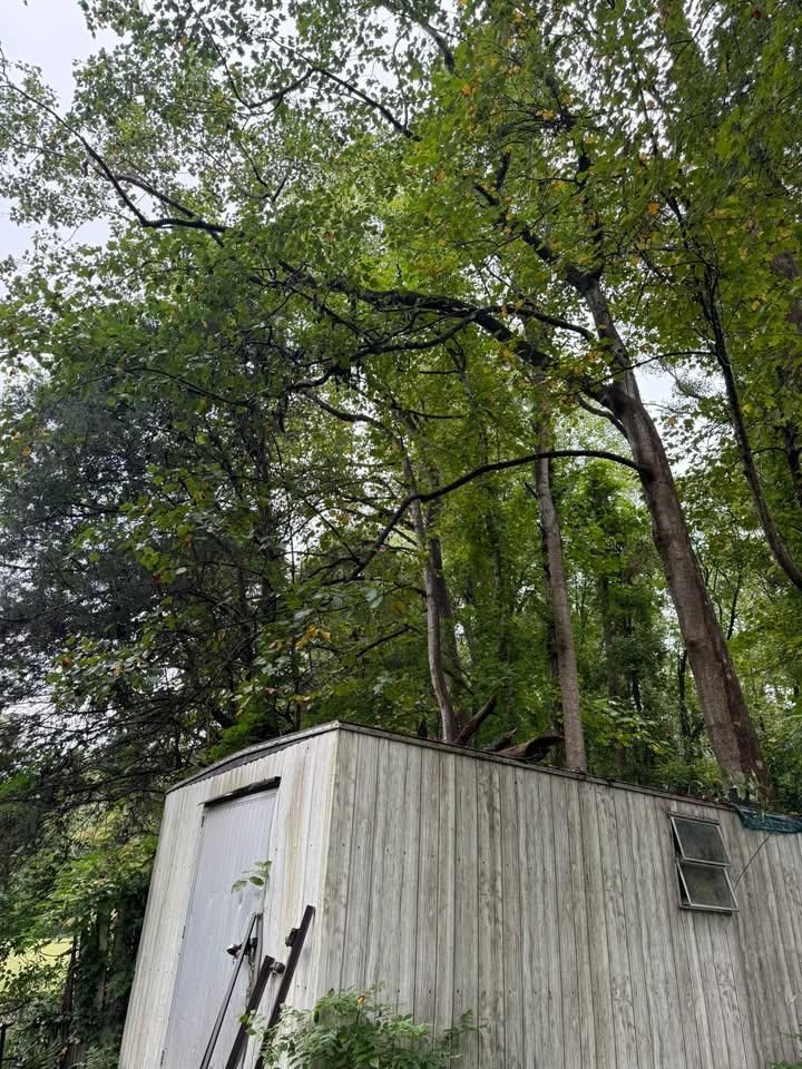 All Photos for Down South Tree Care and Landscaping in Maiden, NC