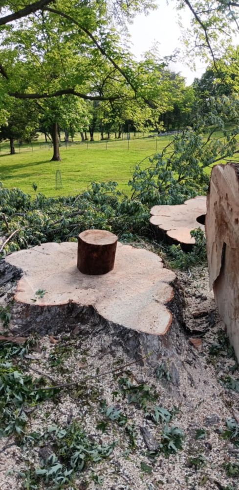 All Photos for Lawn Ranger Yard And Tree Service LLC in Ottumwa, IA