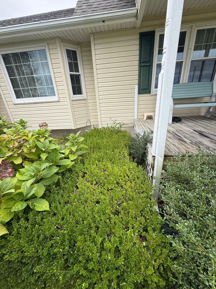 All Photos for Bew’s Lawn Care in Girdletree, MD