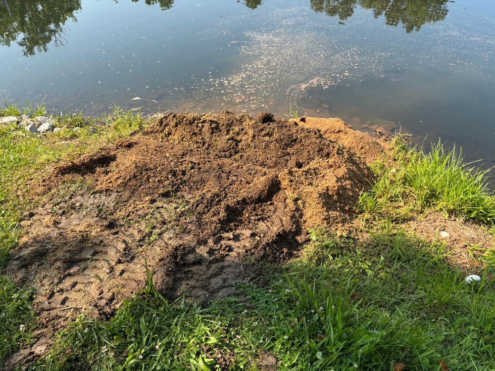 All Photos for Conrad's Stump Removal in Columbus, IN