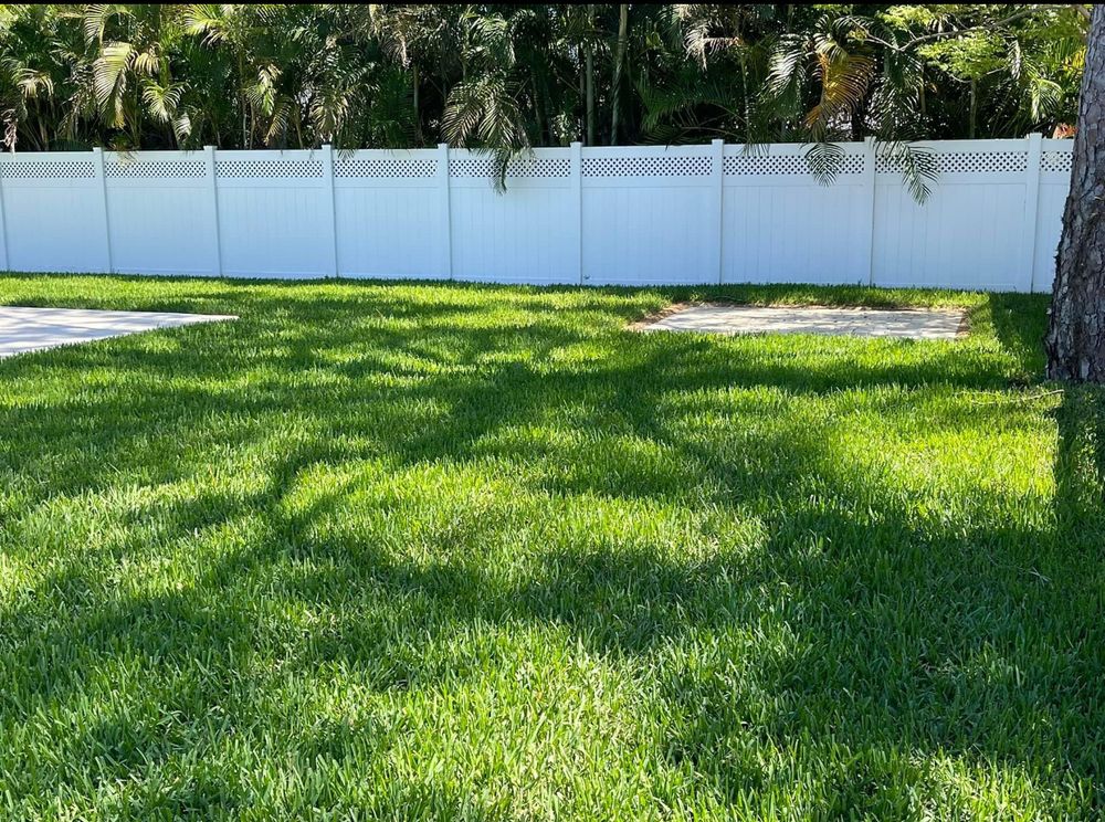 Lawn Care for Team Tolson Landscape in Tampa Bay, FL