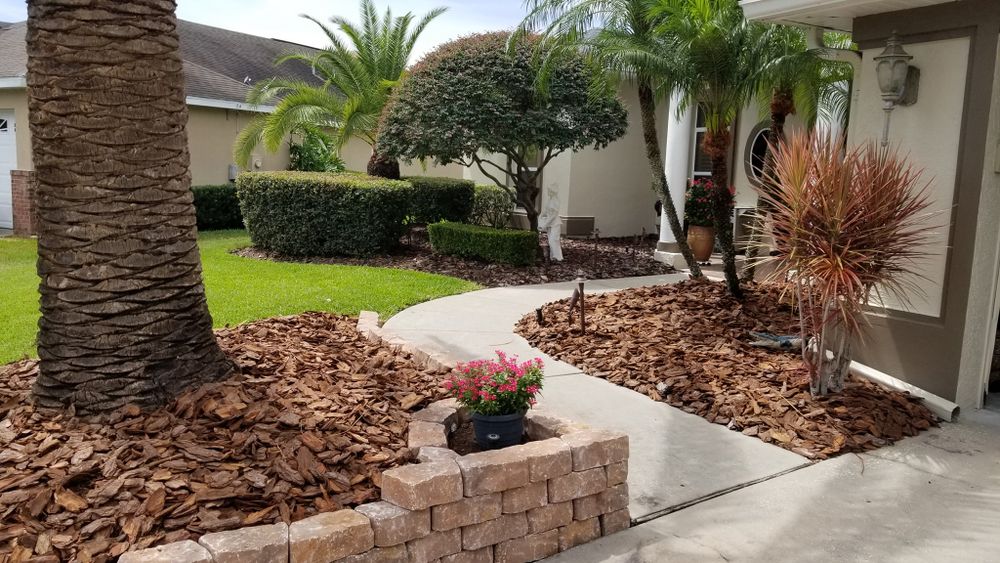 Landscaping for Tezna Landscaping, Trees & Pavers in Valrico, FL