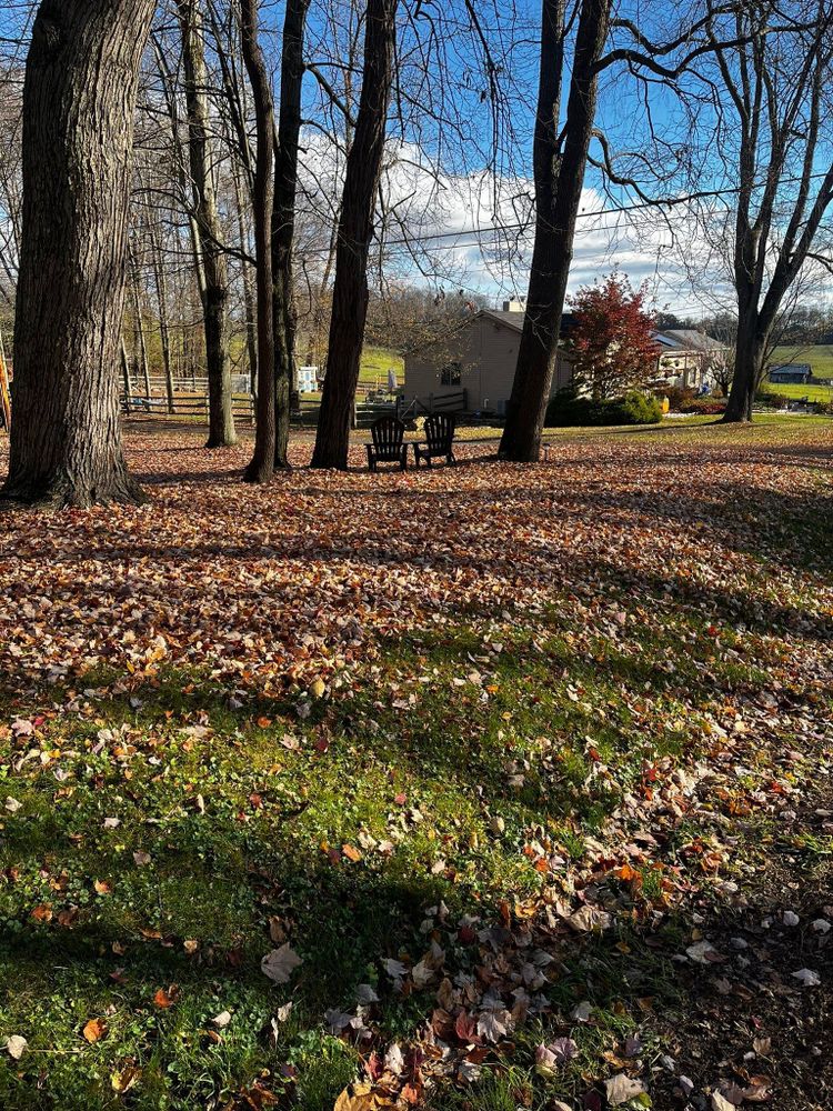 All Photos for Duff’s Lawncare in Butler, PA