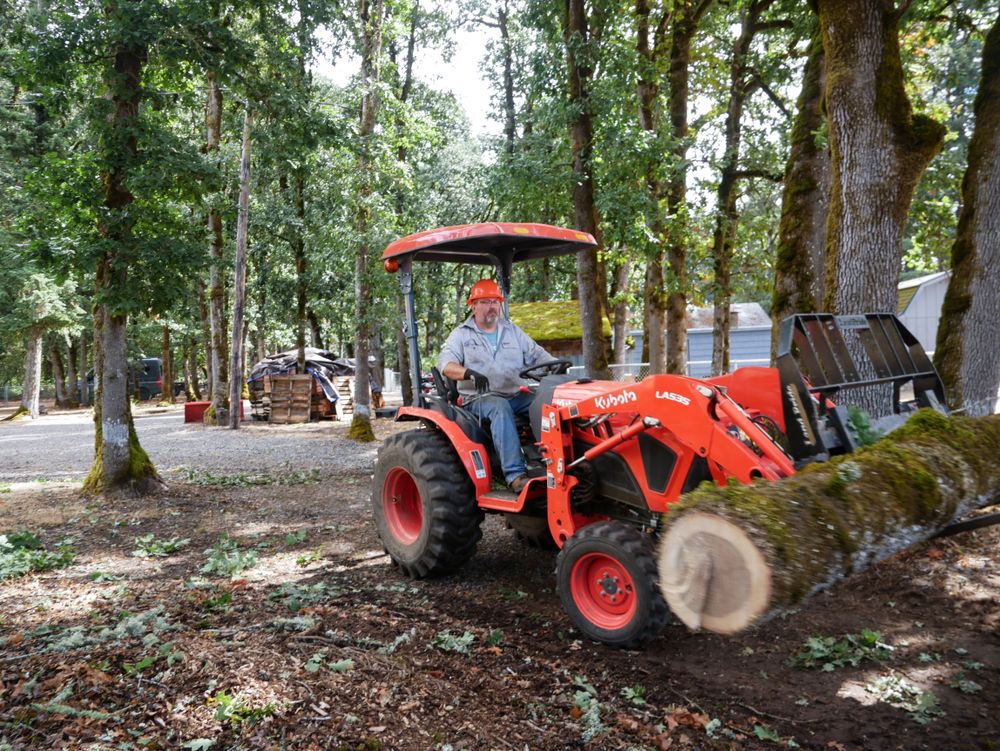 Tree Removal for Clippys Tree Pros in Stayton, OR