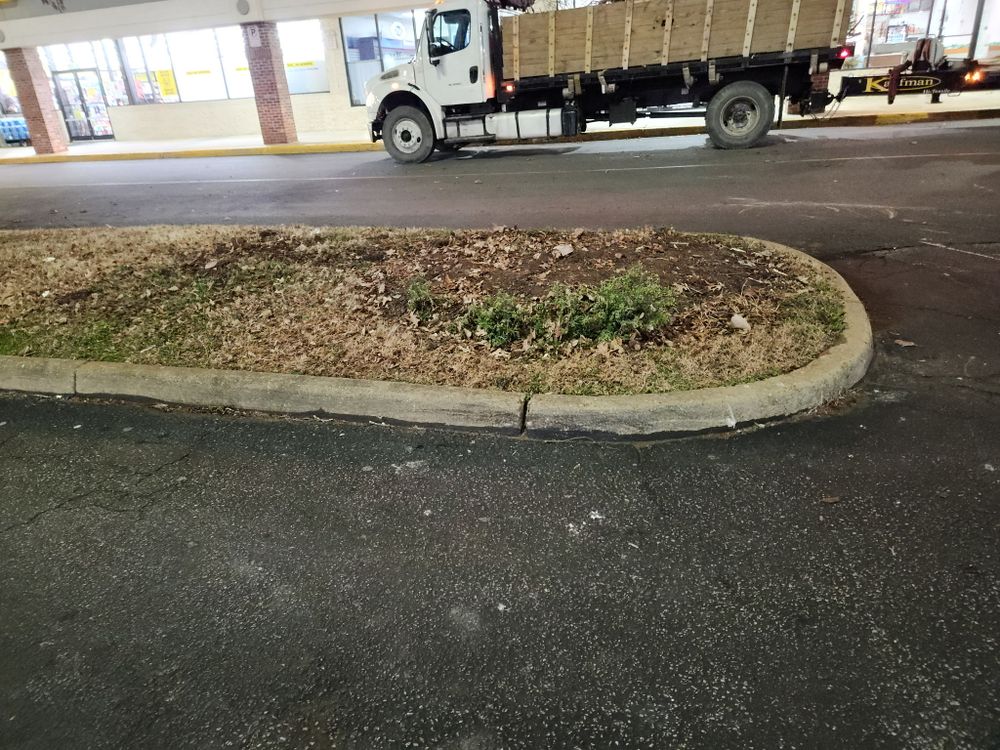 All Photos for Tidewater Tree Service in Chesapeake, VA