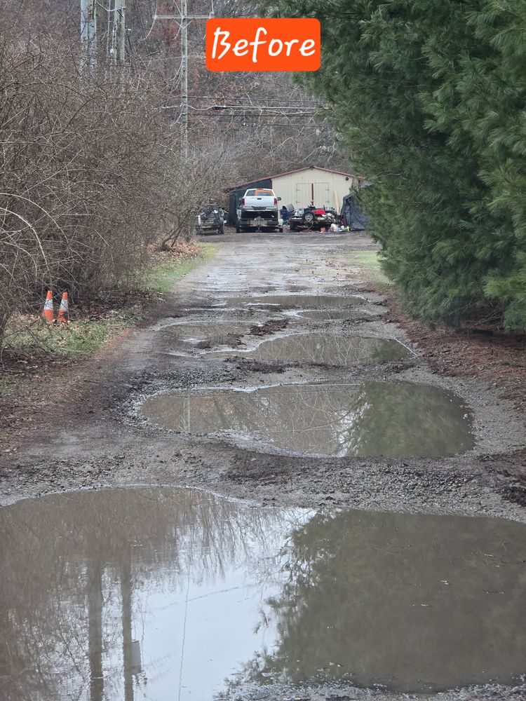 All Photos for D Hale Tree Service in Ann Arbor, MI
