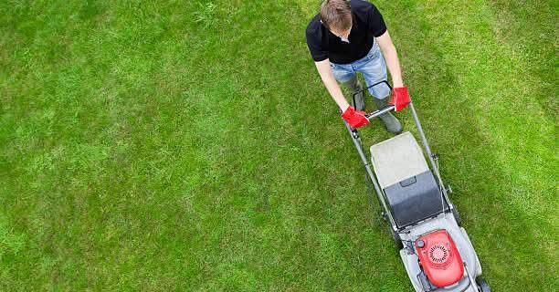 All Photos for Miller Mowing and Maintenance in San Antonio, TX