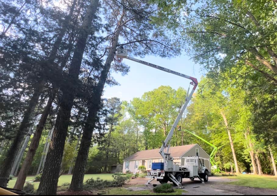 All Photos for James River Tree Service in Suffolk, VA