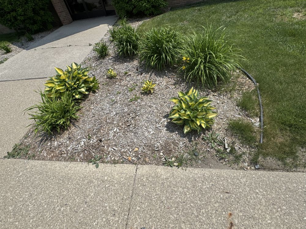 Landscaping Lawn Care for Daugherty's Tough Lawn Care in Essexville, MI