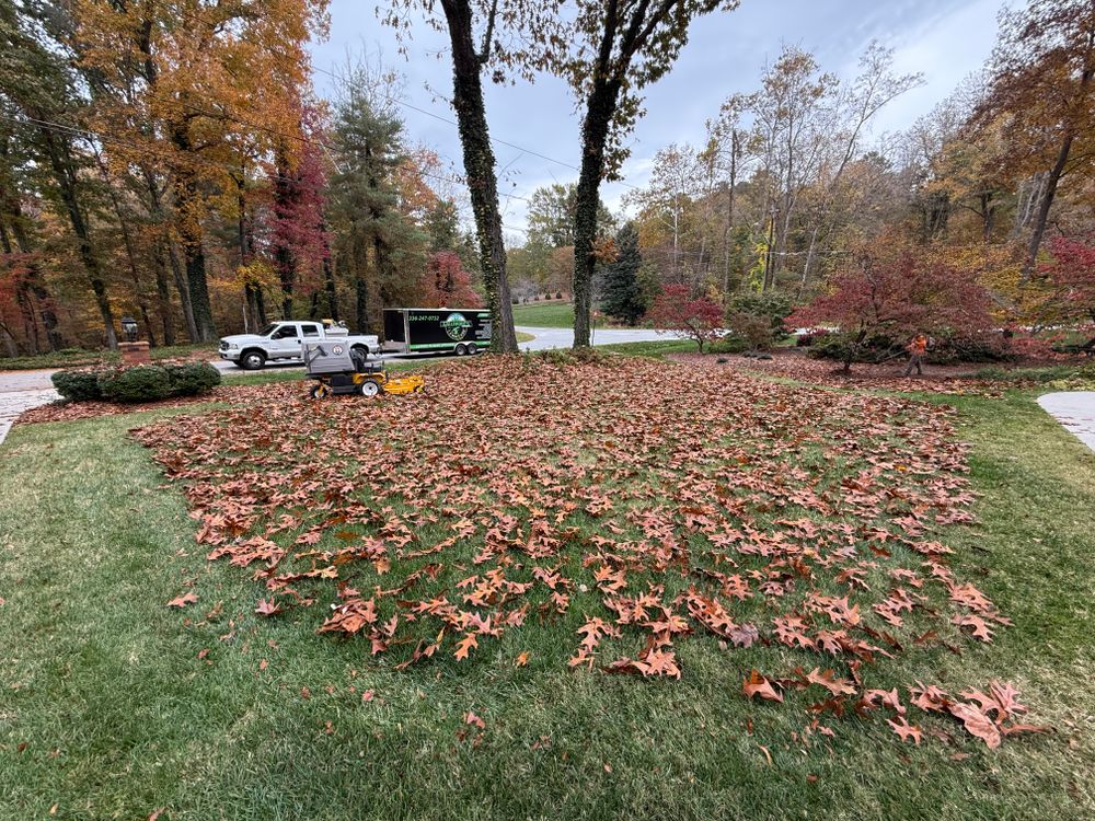 Our Property Clean Up & Leaf Removal service includes thorough removal of debris, leaves, and branches to enhance your lawn's appearance. We also provide stump tree removal to ensure a pristine landscape. for Gallimore’s Lawn Care in Thomasville, NC