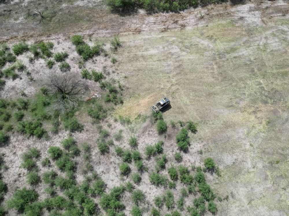 All Photos for Hernandez Land Clearing Services in Alice, TX