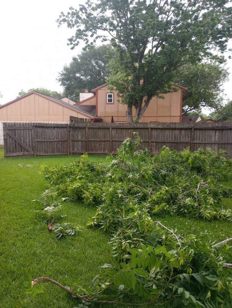 Lawn Care for Mitchell Maintenance in Dickinson, TX