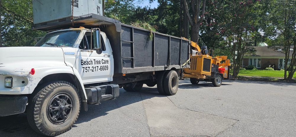 All Photos for Beach Tree Care in Virginia Beach, VA