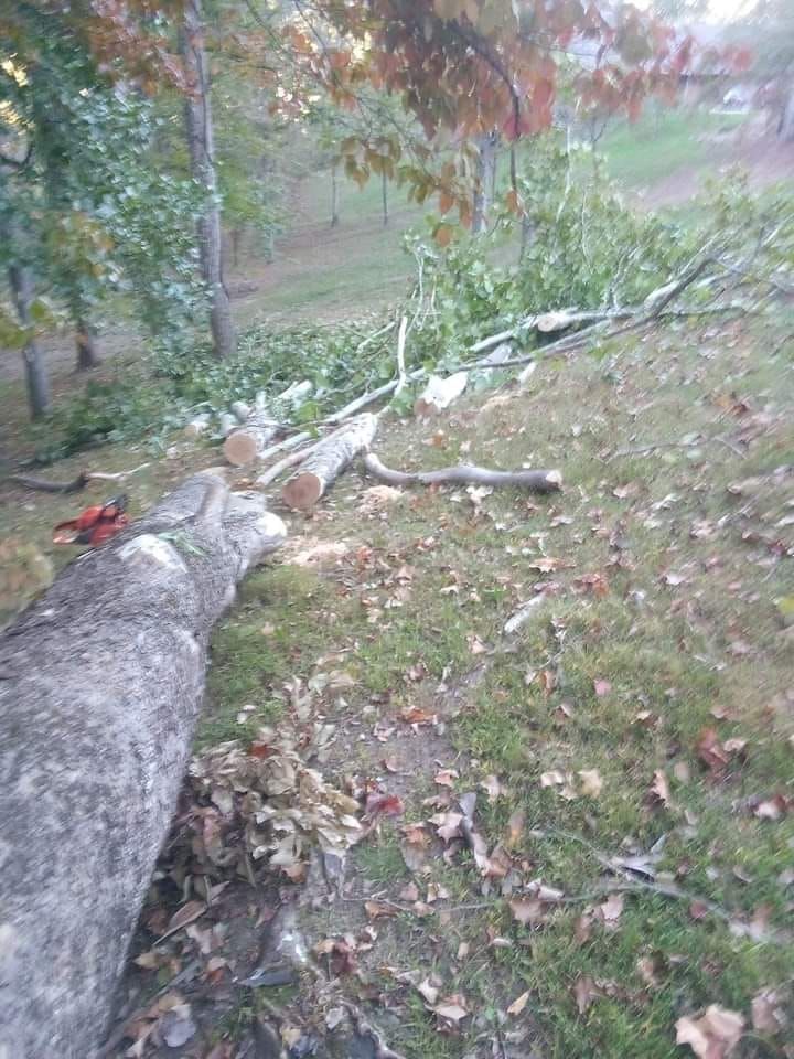 Fall and Spring Clean Up for Hayes Tree And HandyMan Services LLC in , 