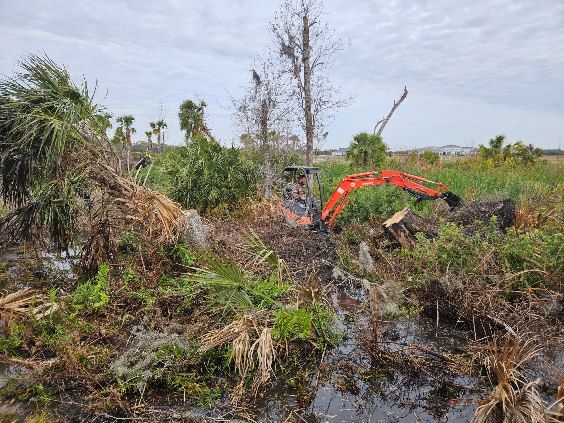 All Photos for Bay Area Bobcat in Riverview, FL