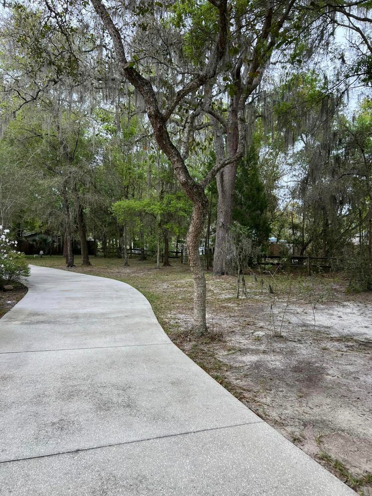 Our professional Land Clearing service will efficiently clear your property of trees, brush, and debris to create a clean slate for landscaping projects or new construction. Contact us today for a quote! for Vaughn’s Outdoor Services  in Orlando, FL