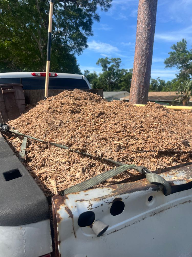 All Photos for Busy Beaver Stump Removal, Inc in Clearwater, FL