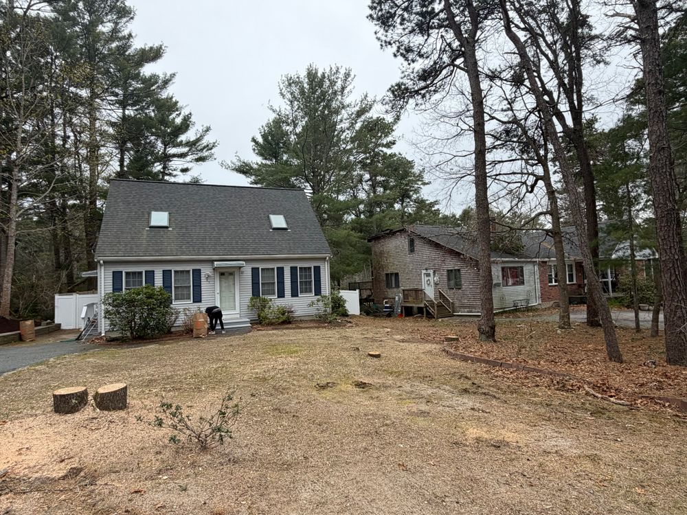 All Photos for Native Roots Tree Service in Cape Cod, MA