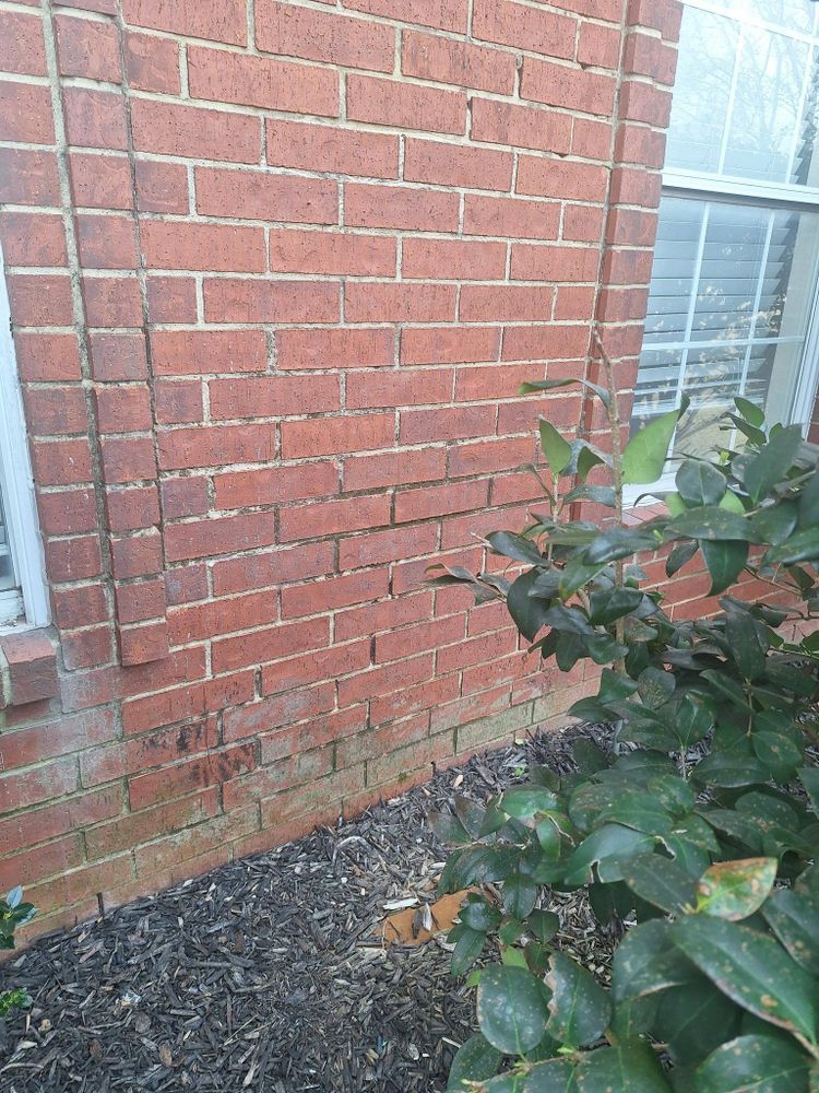 All Photos for Connected Exterior Cleaning in Mesa, AZ