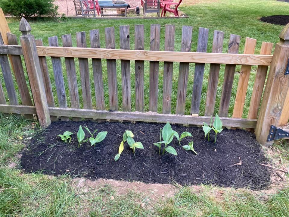 All Photos for Green Horizon Lawncare in North Chesterfield, VA