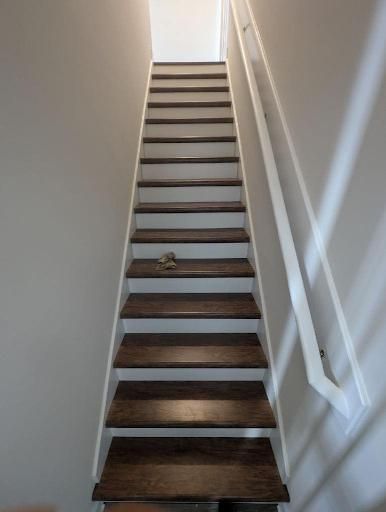 All Photos for Carolina Odd Jobs Inc. in Sneads Ferry, NC