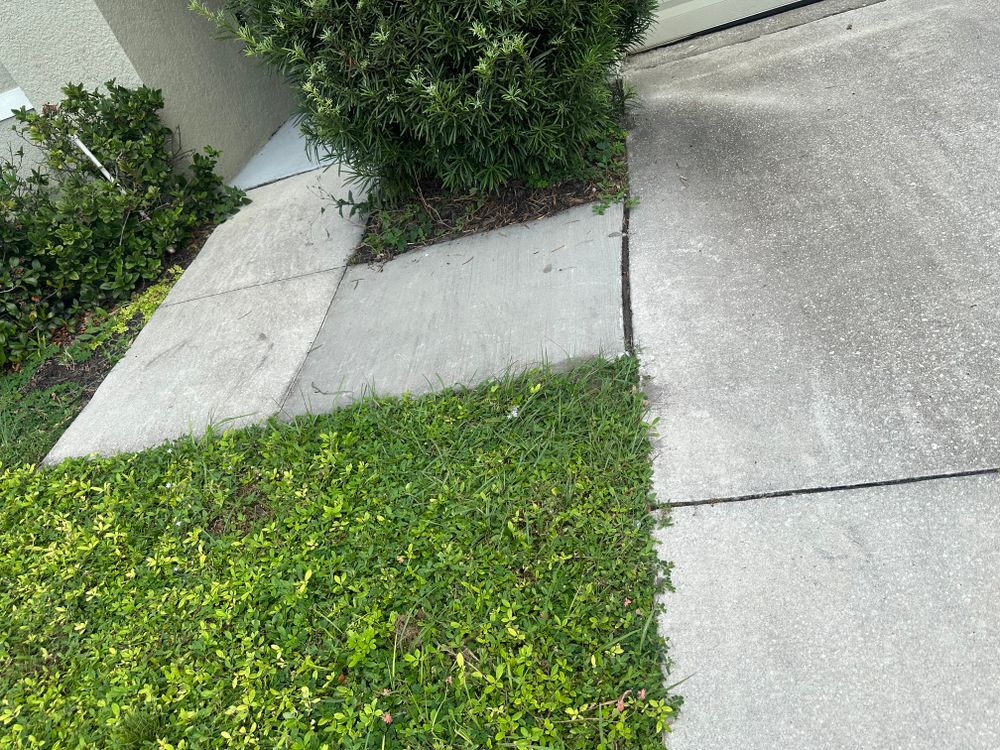All Photos for The Yardman in Tampa, FL