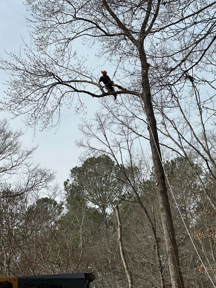 All Photos for ArborMax in Thomaston, GA