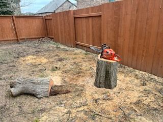 All Photos for Texican JLS in Manor, TX