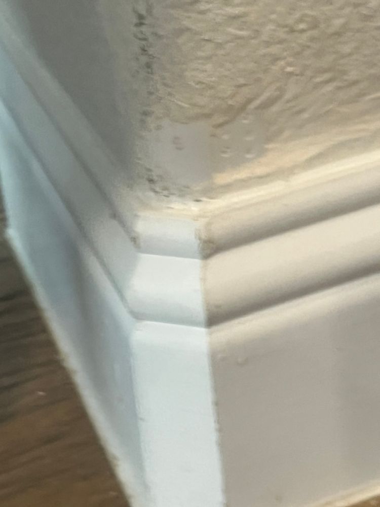 All Photos for IBP Construction in Fort Worth, TX