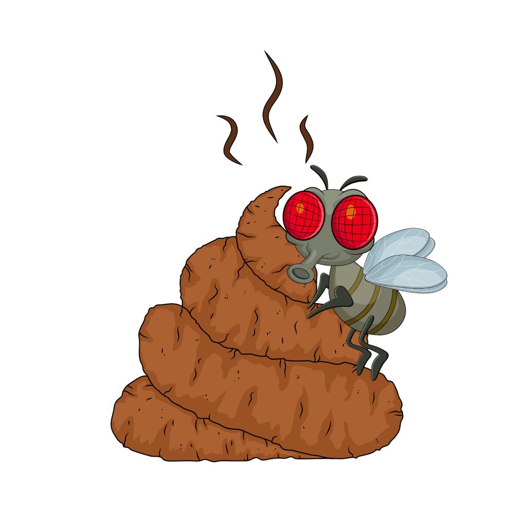 All Photos for River City Scoopers in Midlothian, VA