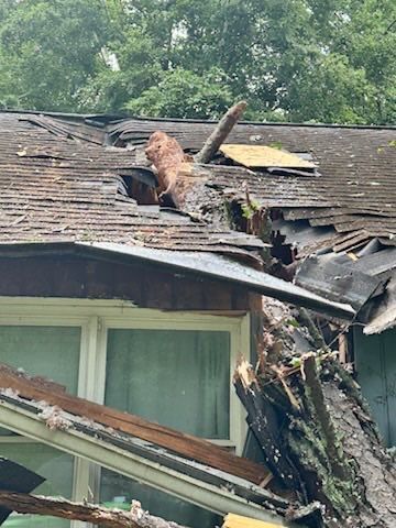 All Photos for Bulldawg Disaster Response in Atlanta, GA