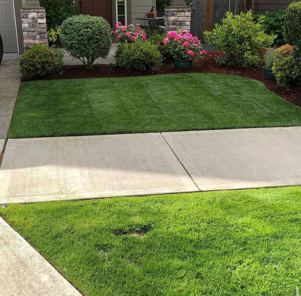 All Photos for Rs lawn Care llc in Beavertown, OR