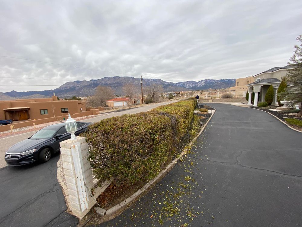 Enhance your home's curb appeal with our expert shrub trimming service, ensuring healthy growth and a polished look by carefully shaping each shrub to complement your garden's overall design. for Tree Service Miracles in Albuquerque, NM