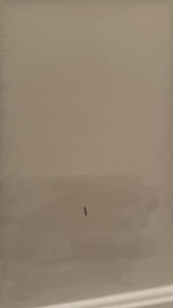 All Photos for Sanchez Paint Pros in Frederick, MD