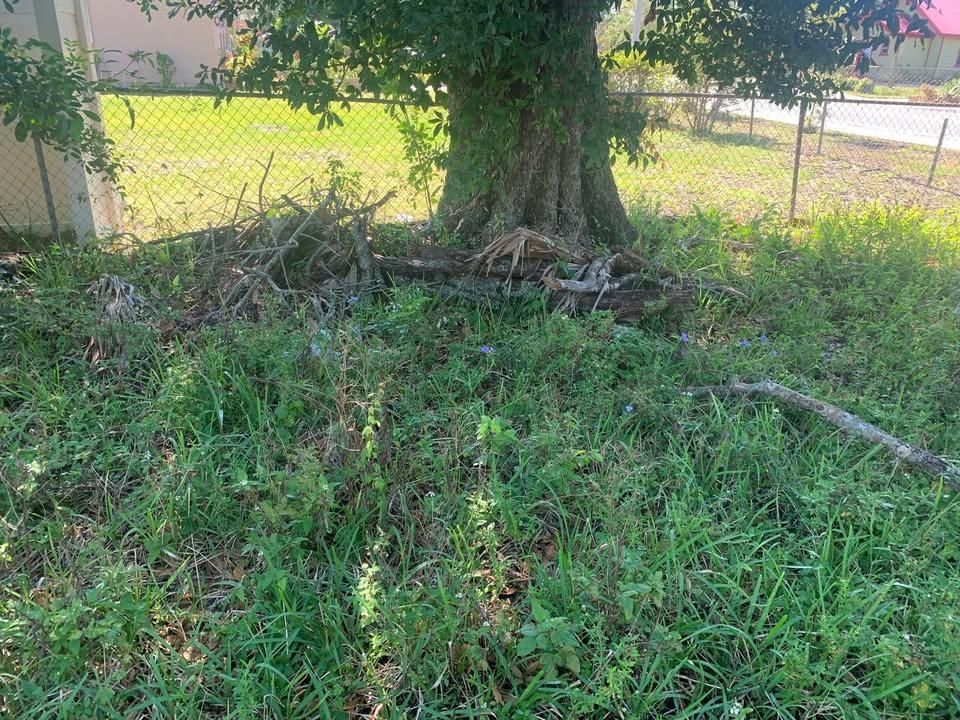 All Photos for Space Coast Property Maintenance and Management LLC in Brevard County, FL