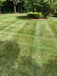 Lawn Care for Dream Cuts Landscaping and Lawn Care LLC in Gastonia, NC